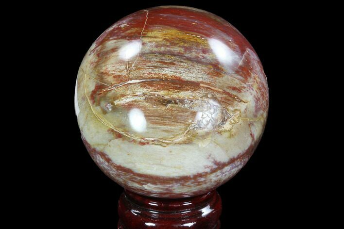 Bargain, Colorful Petrified Wood Sphere - Madagascar #92392
